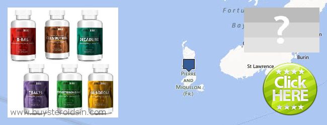 Πού να αγοράσετε Steroids σε απευθείας σύνδεση Saint Pierre And Miquelon